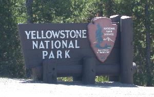 Yellowstone!